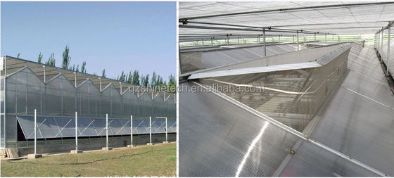 4m Buchtbreite Polycarbonat Gewächshaus Anlage Zeichnung und Galvanisierstahlrahmen