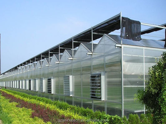 4m Buchtbreite Polycarbonat Gewächshaus Anlage Zeichnung und Galvanisierstahlrahmen