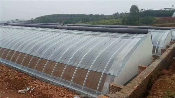 Landwirtschaftliche Gewächshäuser mit Einzelspanne mit Wärmeabdeckungssystem