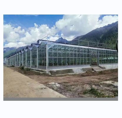 8m 9,6m 12m Spannbreite Mehrspann Gewächshaus mit hydroponischem System und Glasstruktur