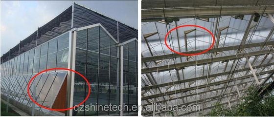 8m 9,6m 12m Spannbreite Mehrspann Gewächshaus mit hydroponischem System und Glasstruktur