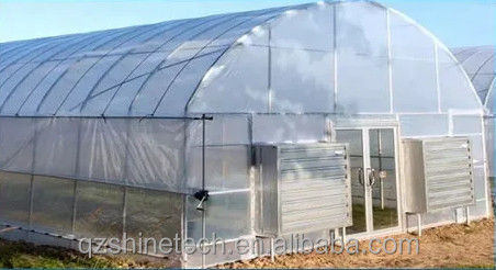 Tomatenhydroponisches landwirtschaftliches Gewächshaus für eine verbesserte Ausbeute in einem einzigen Span-Design