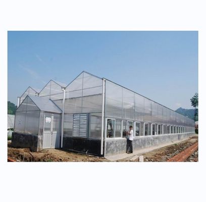 Industrielle Gewächshäuser aus Polykarbonat, ideal für den Anbau von Gemüse, Früchten und Blumen