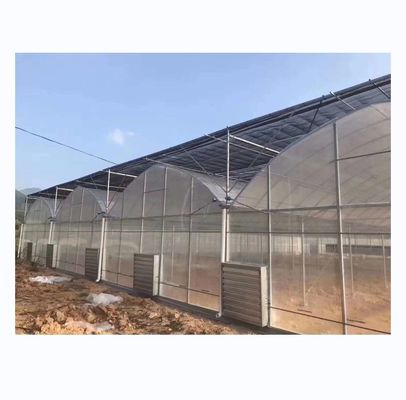 Gemüse Obst Blumen Film Gewächshaus Chinesisch Mehrfach Gewächshaus für die Tomatenzüchtung