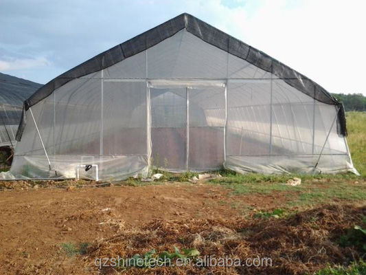 Tomatenhydroponisches landwirtschaftliches Gewächshaus für eine verbesserte Ausbeute in einem einzigen Span-Design