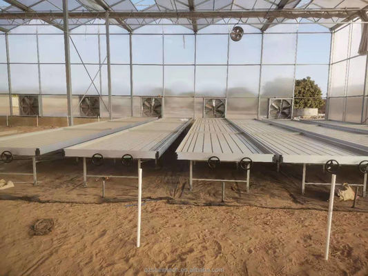 Industrielle Gewächshäuser aus Polykarbonat, ideal für den Anbau von Gemüse, Früchten und Blumen