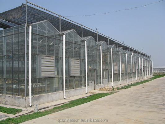 8m 9,6m 12m Spannbreite Mehrspann Gewächshaus mit hydroponischem System und Glasstruktur