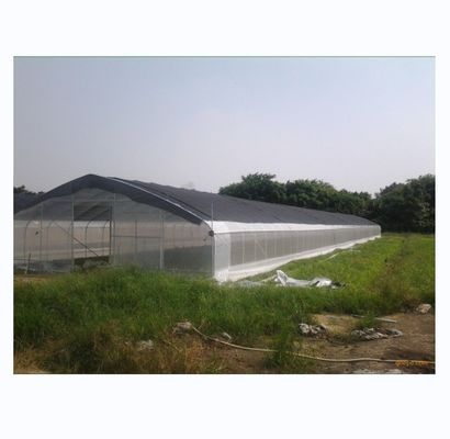 150/200mikro Film Hochtunnel Landwirtschaftliches Gewächshaus für den hydroponischen Anbau von Tomaten