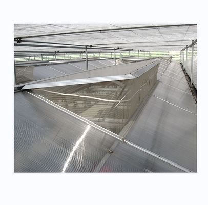 Vorgefertigte landwirtschaftliche Gewächshäuser mit industriellen Polycarbonatplatten und Kühlsystem