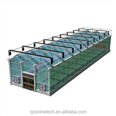 Verzinktes Stahlrahmen Glas überdacht Landwirtschaft Gewächshaus mit Installationszeichnung