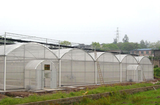 150/200 Mikroabdeckungs-PE-Multi-Span-Film-Gewächshaus für Tomatenanbau in der Landwirtschaft