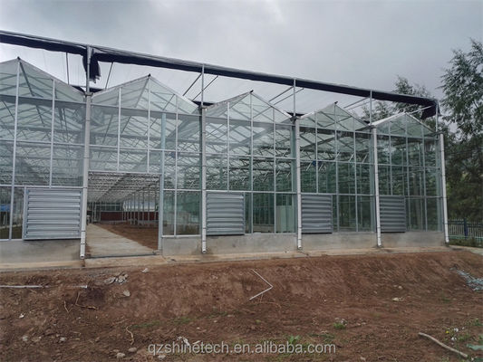 Verzinktes Stahlrahmen Glas überdacht Landwirtschaft Gewächshaus mit Installationszeichnung