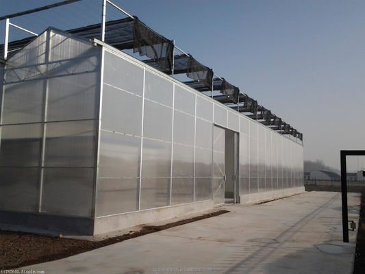 Vorgefertigte landwirtschaftliche Gewächshäuser mit industriellen Polycarbonatplatten und Kühlsystem