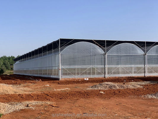 150/200 Mikroabdeckungs-PE-Multi-Span-Film-Gewächshaus für Tomatenanbau in der Landwirtschaft