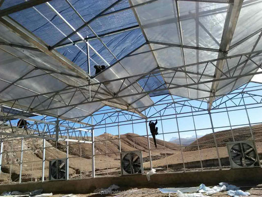 Vorgefertigte landwirtschaftliche Gewächshäuser mit industriellen Polycarbonatplatten und Kühlsystem