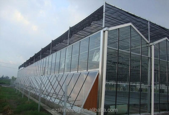 Verzinktes Stahlrahmen Glas überdacht Landwirtschaft Gewächshaus mit Installationszeichnung