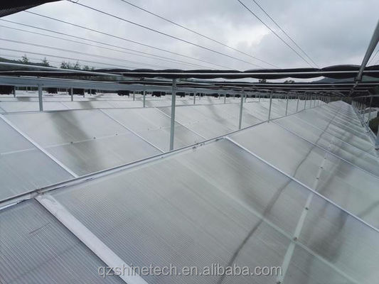 Vorgefertigte landwirtschaftliche Gewächshäuser mit industriellen Polycarbonatplatten und Kühlsystem