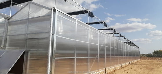 Vorgefertigte landwirtschaftliche Gewächshäuser mit industriellen Polycarbonatplatten und Kühlsystem