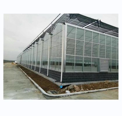 Superstarke Beständigkeit Venlo Glas Gewächshaus für kommerzielle landwirtschaftliche Turnkey-Projekt