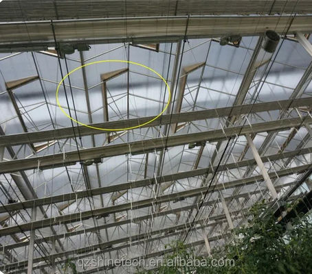 Superstarke Beständigkeit Venlo Glas Gewächshaus für kommerzielle landwirtschaftliche Turnkey-Projekt