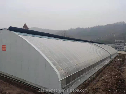 Längen 50-120 m Doppelisolierter kommerzieller Solargewächshaus für Winter- und Kältegebiete