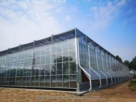 Superstarke Beständigkeit Venlo Glas Gewächshaus für kommerzielle landwirtschaftliche Turnkey-Projekt