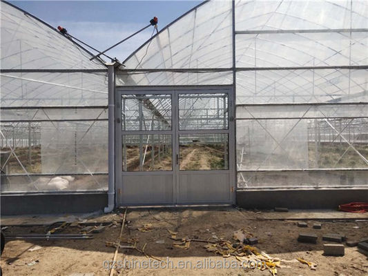 Intelligentes Gewächshaus für den Tomatenanbau Multi-Span Film Gewächshaus von Shine Tech