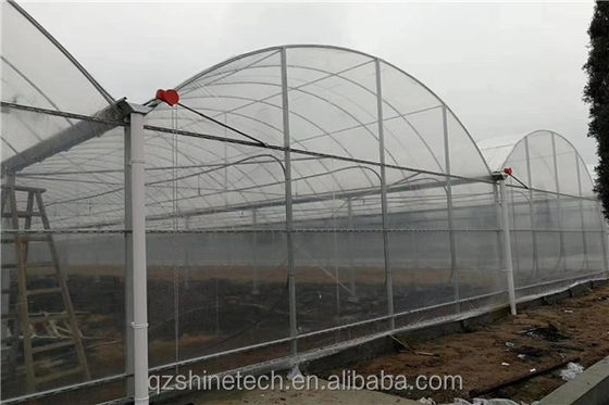 Intelligentes Gewächshaus für den Tomatenanbau Multi-Span Film Gewächshaus von Shine Tech