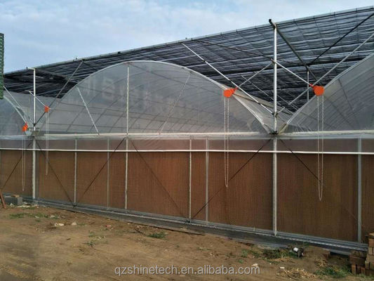 Intelligentes Gewächshaus für den Tomatenanbau Multi-Span Film Gewächshaus von Shine Tech