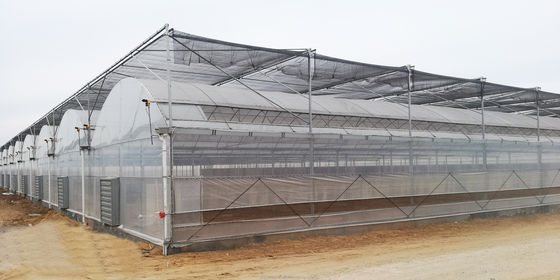 4.0-8.0M Höhe Landwirtschaftliches Mehrspann-Film-Gewächshaus mit superstarker Beständigkeit