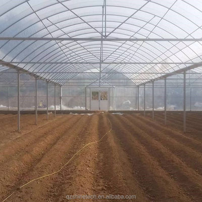 4.0-8.0M Höhe Landwirtschaftliches Mehrspann-Film-Gewächshaus mit superstarker Beständigkeit