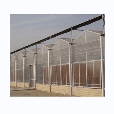 8 mm PC-Blatt-Multi-Span Landwirtschaftliche Gewächshäuser für eine nachhaltige Landwirtschaft