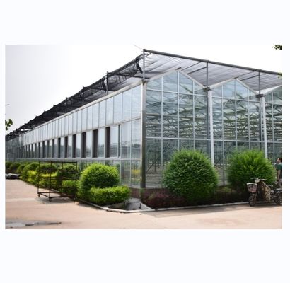 Glasbedeckung NFT Hydroponische Anbausysteme Die ultimative Lösung für vertikale Landwirtschaft