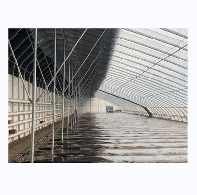 Solar Winter Gewächshäuser Warmes landwirtschaftliches Gewächshaus mit galvanisiertem Stahlrahmen