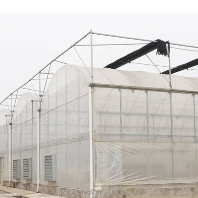 Optimale Bewässerung Landwirtschaftliche Mehrfachspannung Kunststoff Gewächshaus für Einlagenpflanzen