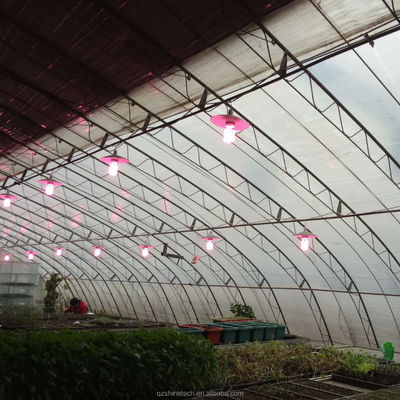 Solar Winter Gewächshäuser Warmes landwirtschaftliches Gewächshaus mit galvanisiertem Stahlrahmen