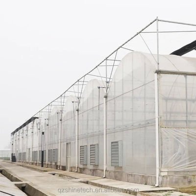Optimale Bewässerung Landwirtschaftliche Mehrfachspannung Kunststoff Gewächshaus für Einlagenpflanzen