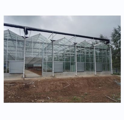 Gehärtetes, mit Glas bedecktes landwirtschaftliches Gewächshaus für den Anbau von Gemüse in Holland