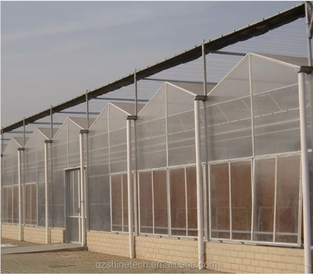 Superstarke Widerstandsfähigkeit 8 mm Polycarbonat Multi-Span Gewächshaus für Tomaten