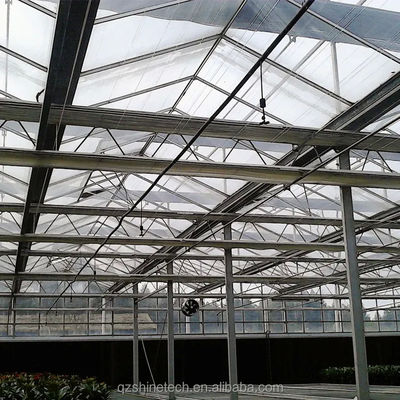 Gehärtetes, mit Glas bedecktes landwirtschaftliches Gewächshaus für den Anbau von Gemüse in Holland