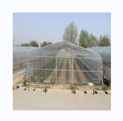PE-Tunnel Gewächshaus für den hydroponischen Tomatenanbau Einfache Montage Länge 10-100m