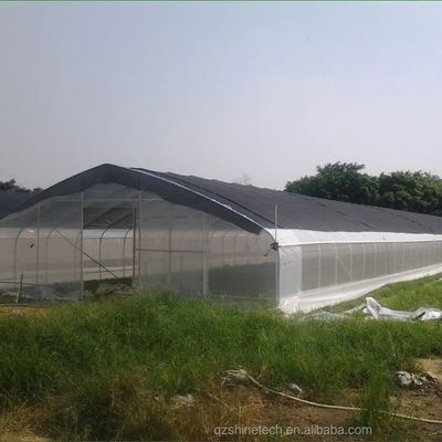 PE-Tunnel Gewächshaus für den hydroponischen Tomatenanbau Einfache Montage Länge 10-100m