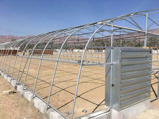 PE-Tunnel Gewächshaus für den hydroponischen Tomatenanbau Einfache Montage Länge 10-100m