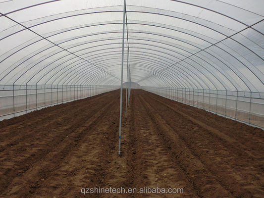 PE-Tunnel Gewächshaus für den hydroponischen Tomatenanbau Einfache Montage Länge 10-100m