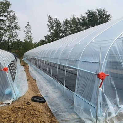 PE-Tunnel Gewächshaus für den hydroponischen Tomatenanbau Einfache Montage Länge 10-100m