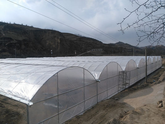 Hot Dip Galvanized Steel Tube Frame Multi Span Landwirtschaftliches Gewächshaus