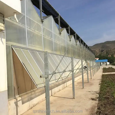 Super starke Widerstandsfähigkeit Polycarbonat Gewächshaus für die kommerzielle Landwirtschaft