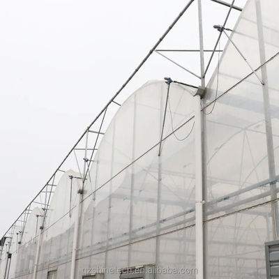 Hot Dip Galvanized Steel Tube Frame Multi Span Landwirtschaftliches Gewächshaus