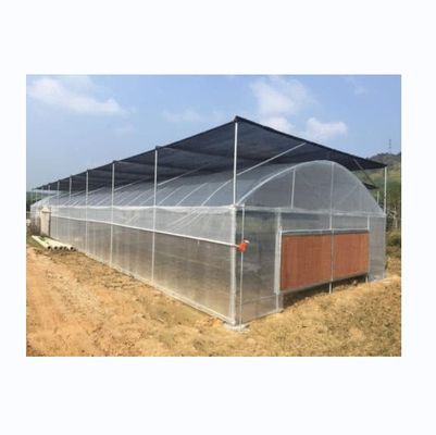 Kleine Einfachspannung PE-Plastikfolie Gewächshaus für Gemüseanbau 10-100m Länge