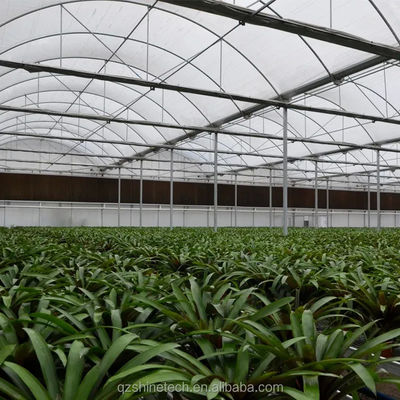 Hot Dip Galvanized Steel Tube Frame Multi Span Landwirtschaftliches Gewächshaus